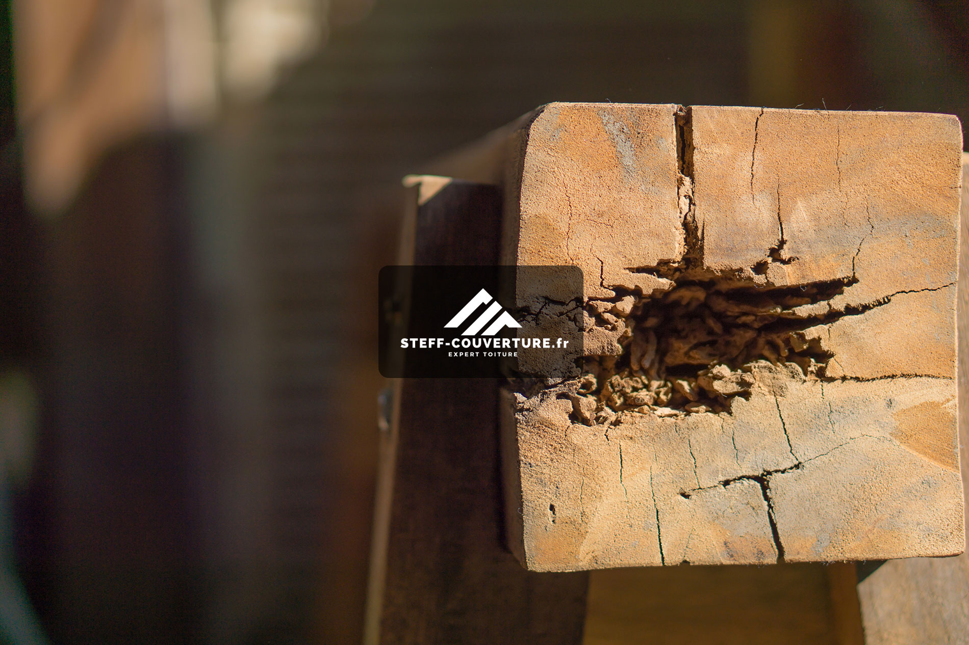 Traitement chimique de toiture à Pessac avec Steff Couverture Traitement chimique de toiture à Pessac avec Steff Couverture